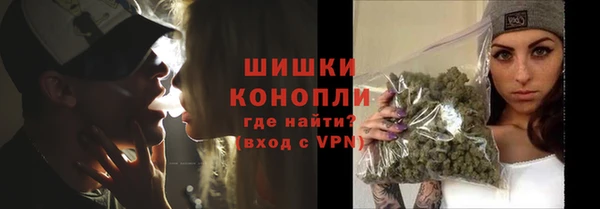 Альфа ПВП Белокуриха