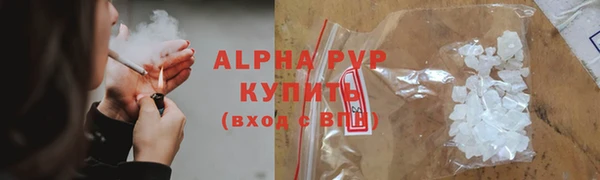 Альфа ПВП Белокуриха
