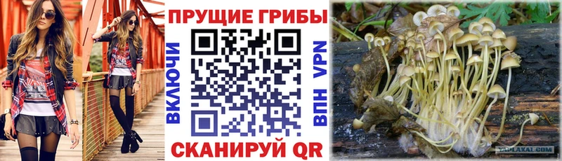 Галлюциногенные грибы Magic Shrooms Тверь